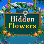 Hidden Flowers